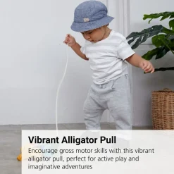 Rainbow Alligator Pull Toy