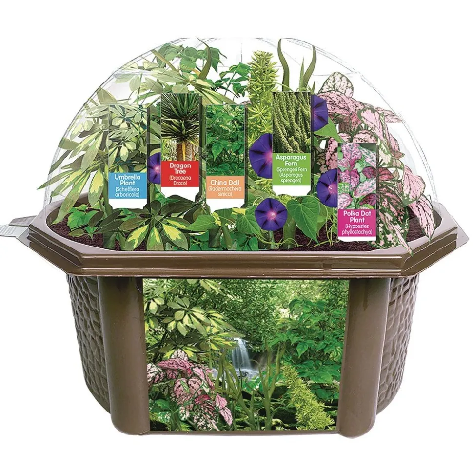 Rainforest Eco-Biosphere