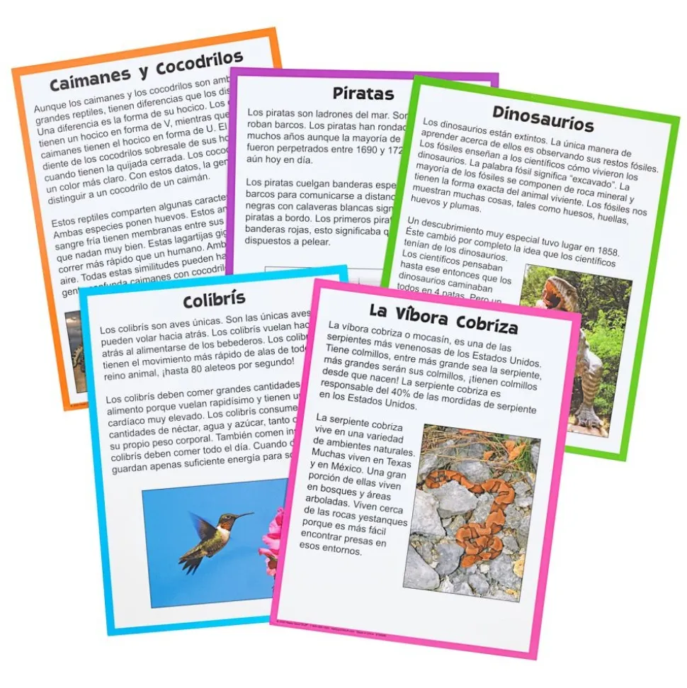 Really Good Stuff® Centro de Aprendizaje: Marca la Idea Principal, Nivel 1 (Main Idea Markup Level 1 Literacy