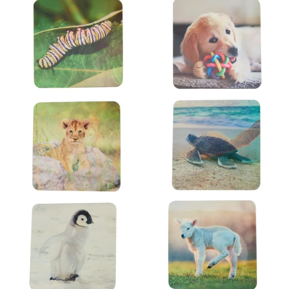 Really Good Stuff® Lenticular Cards- Set of 12