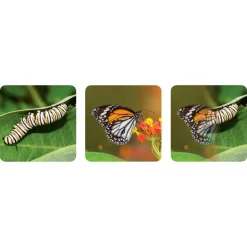 Really Good Stuff® Lenticular Cards- Set of 12