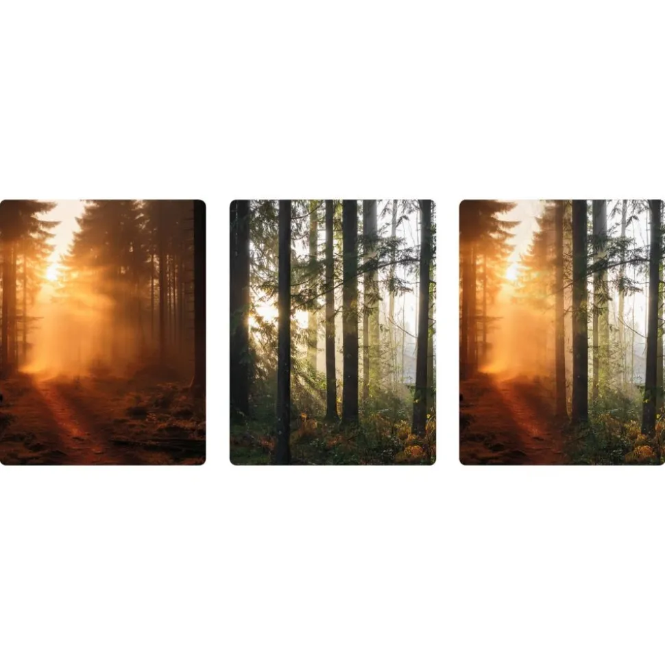 Really Good Stuff® Lenticular Posters - Set of 6