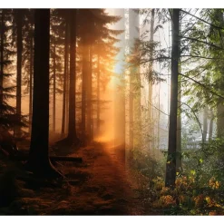 Really Good Stuff® Lenticular Posters - Set of 6