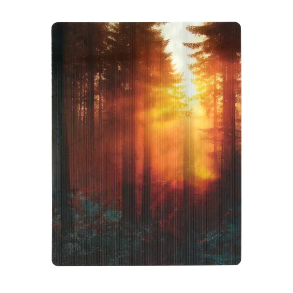 Really Good Stuff® Lenticular Posters - Set of 6