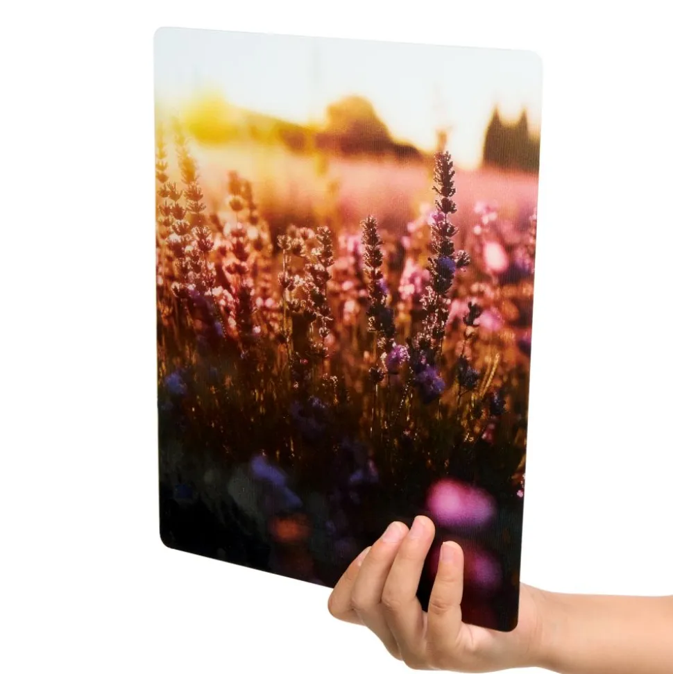 Really Good Stuff® Lenticular Posters - Set of 6