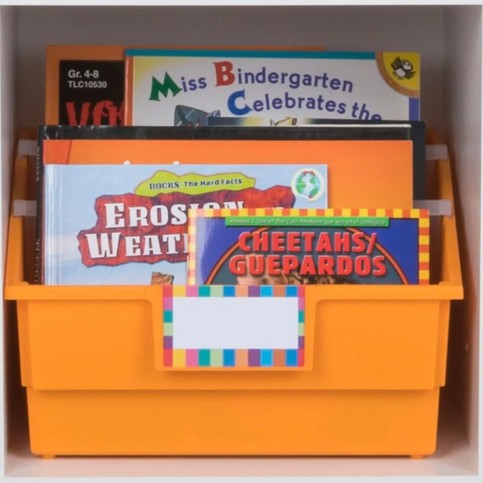 Really Good Stuff® Picture Book Bins - Neon Pop - Set of 6