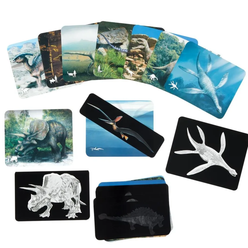 Roylco® Discover Dinosaurs Picture Cards & X-Rays - 24 cards