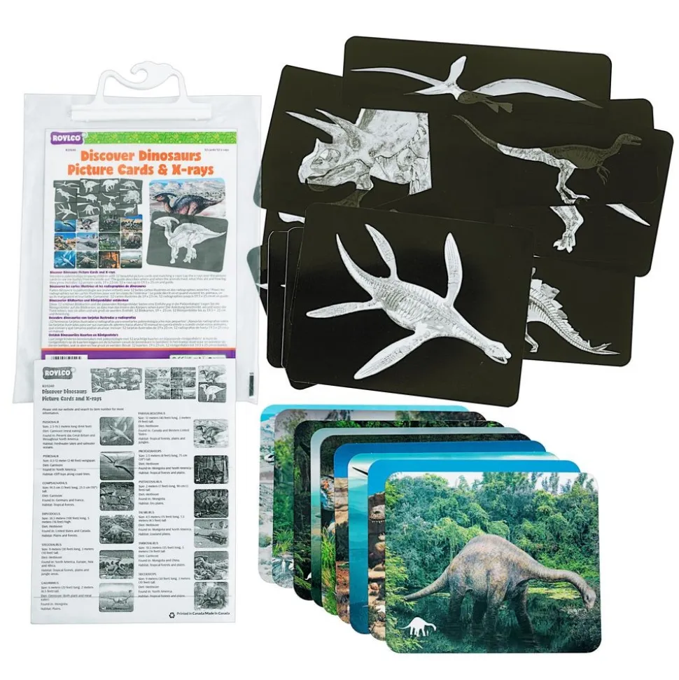 Roylco® Discover Dinosaurs Picture Cards & X-Rays - 24 cards