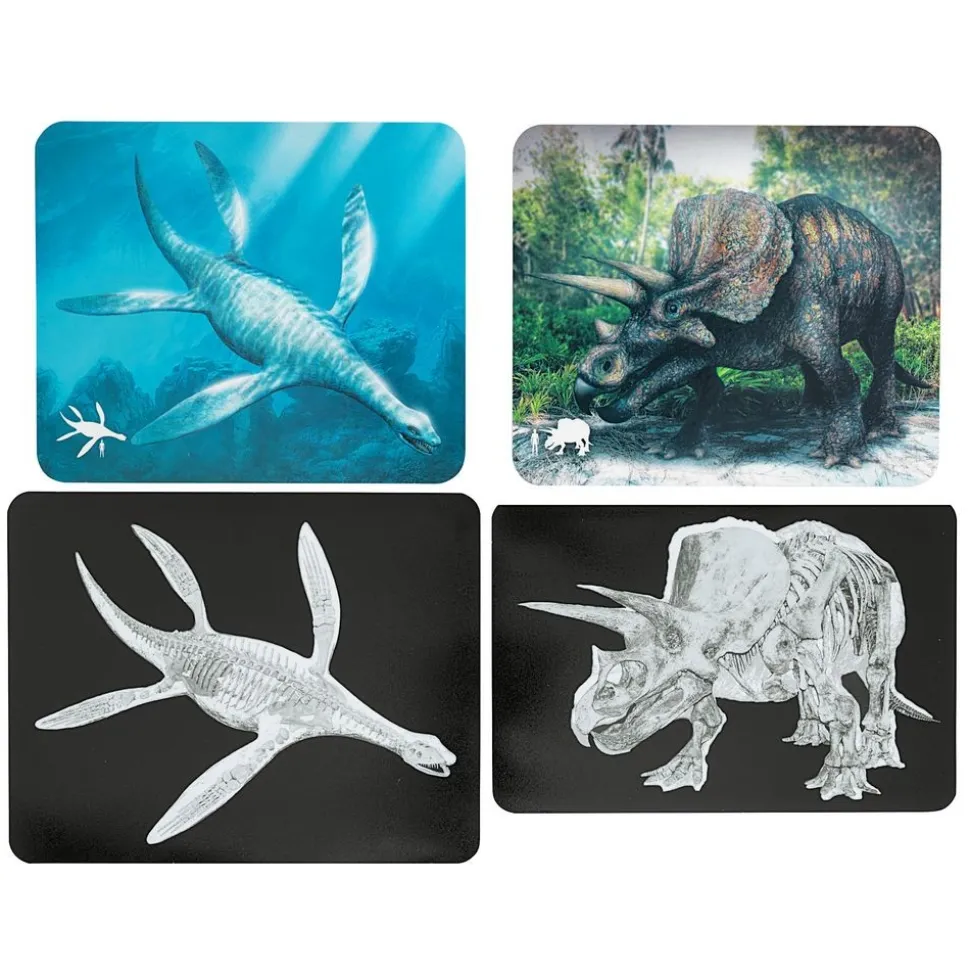 Roylco® Discover Dinosaurs Picture Cards & X-Rays - 24 cards