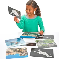Roylco® Discover Dinosaurs Picture Cards & X-Rays - 24 cards