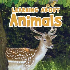 Science Vocabulary Paperback Books - 4 Titles