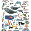 Sea Life Felt Set