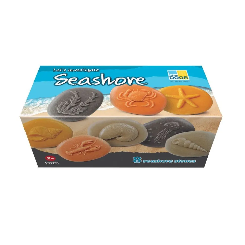 Seashore Sensory Stones - Set of 8
