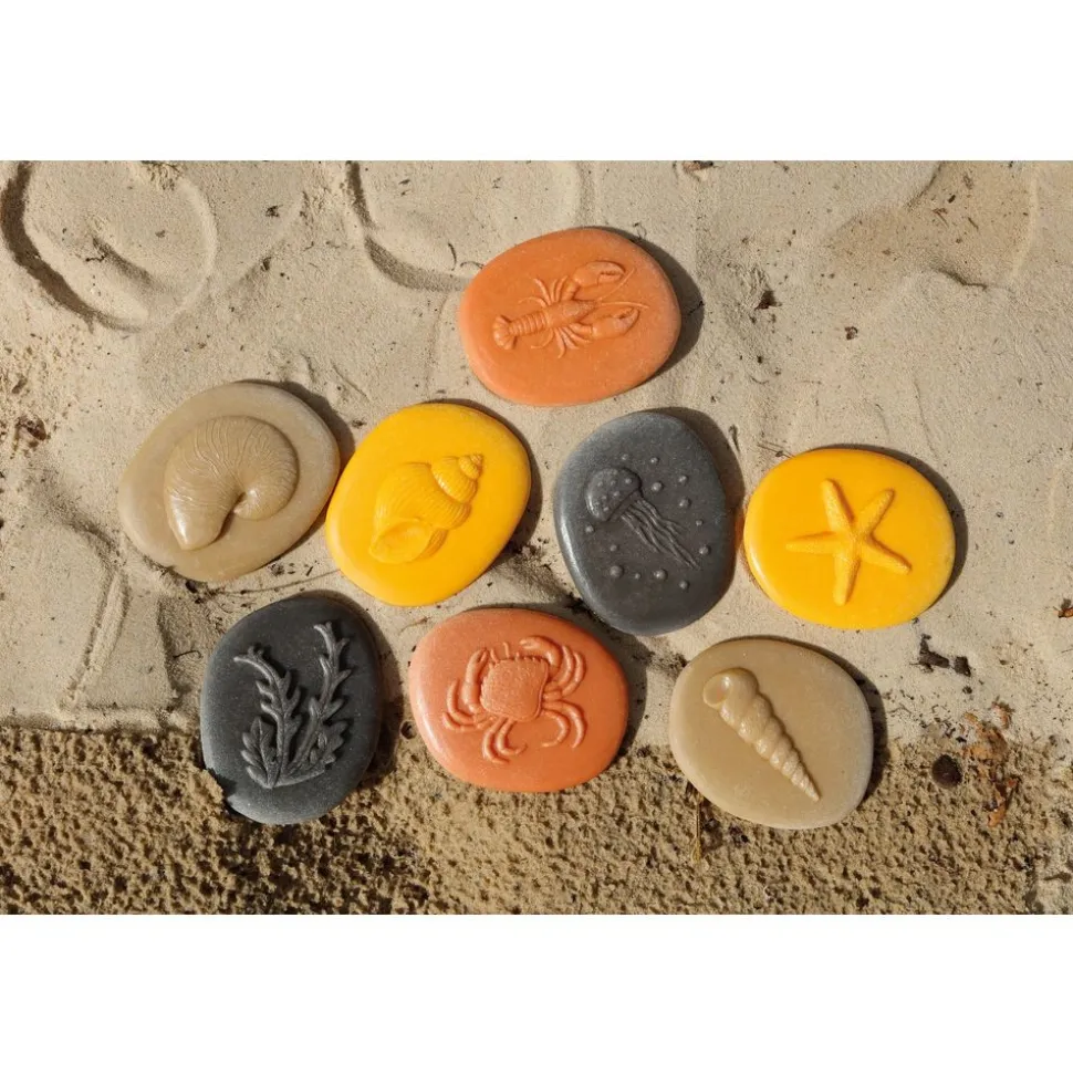 Seashore Sensory Stones - Set of 8