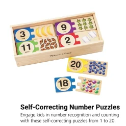 Self-Correcting 1-20 Number Puzzles