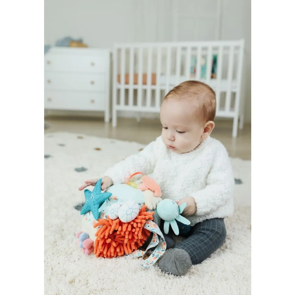Sensorial Reef Ball