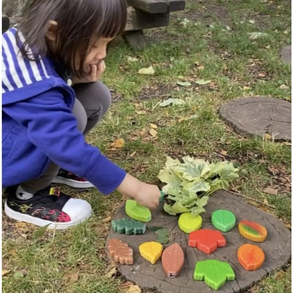 Sensory Play Stones - Leaves 12pcs