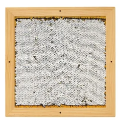 Sequin Motor Skills Frame- Gold