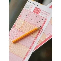 Small Pencils Classroom Pack - Set of 144