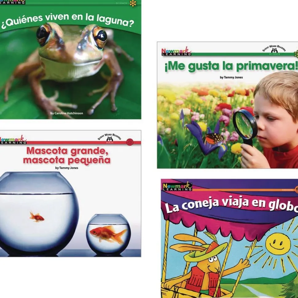 Spanish Early Literacy 12 Book Set