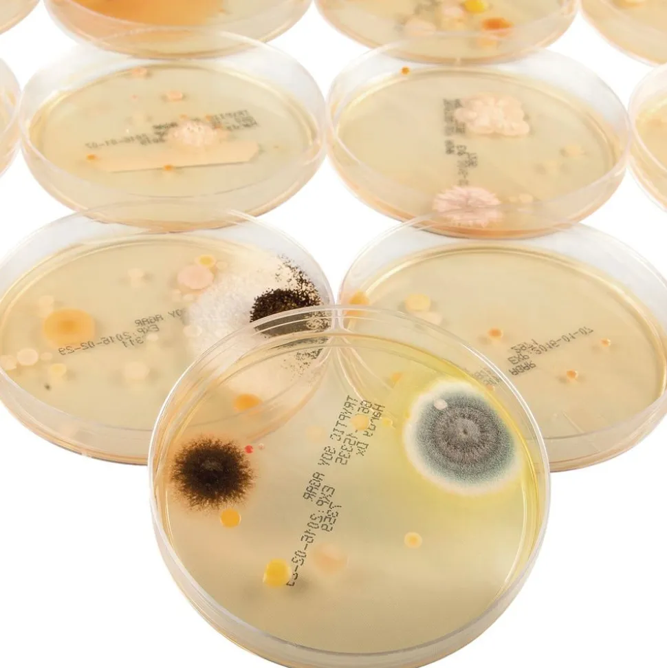 Steve Spangler Science® Growing Bacteria Kit
