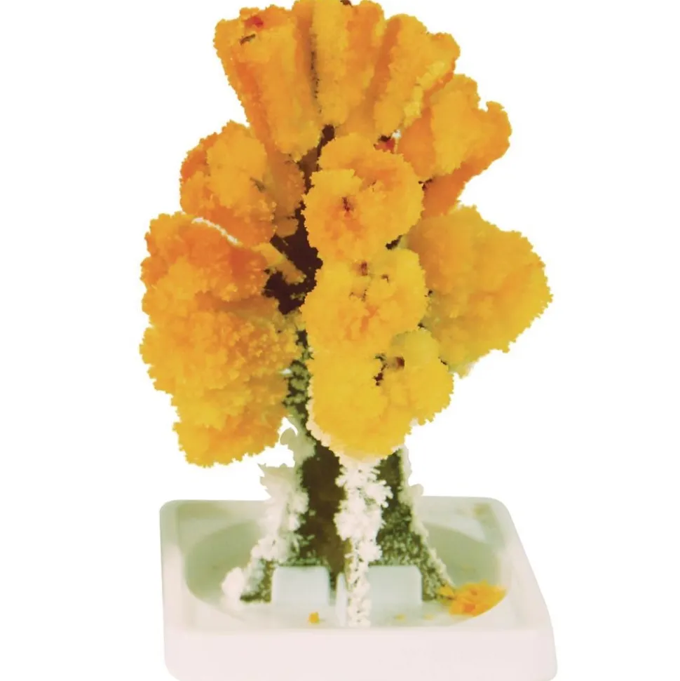 Steve Spangler Science® Magic Trees - Set Of 5