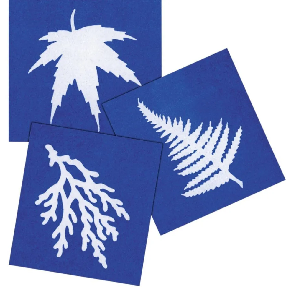 Steve Spangler Science® Nature Print Sun Paper (30 Pack)