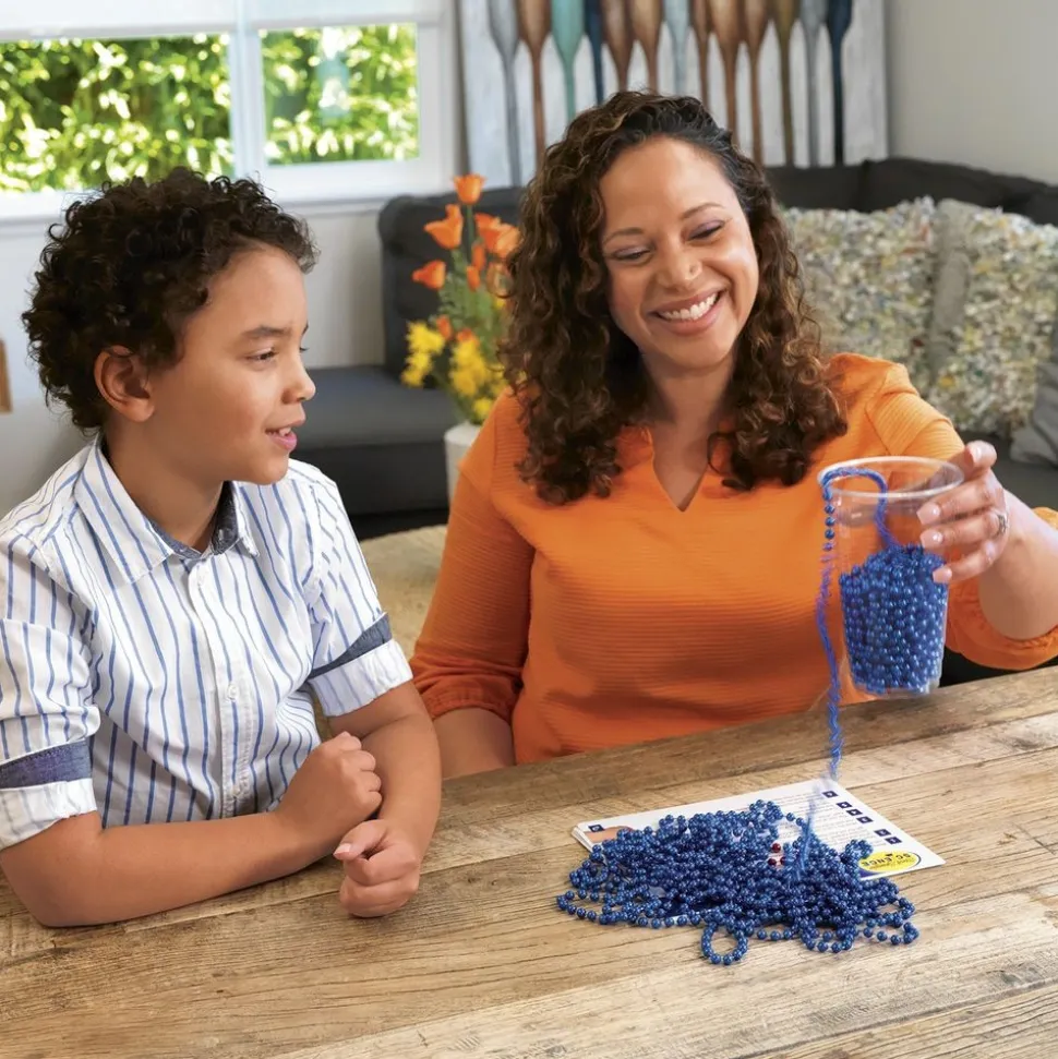 Steve Spangler Science® STEM Success Kit: Newton's Antics Science Kit