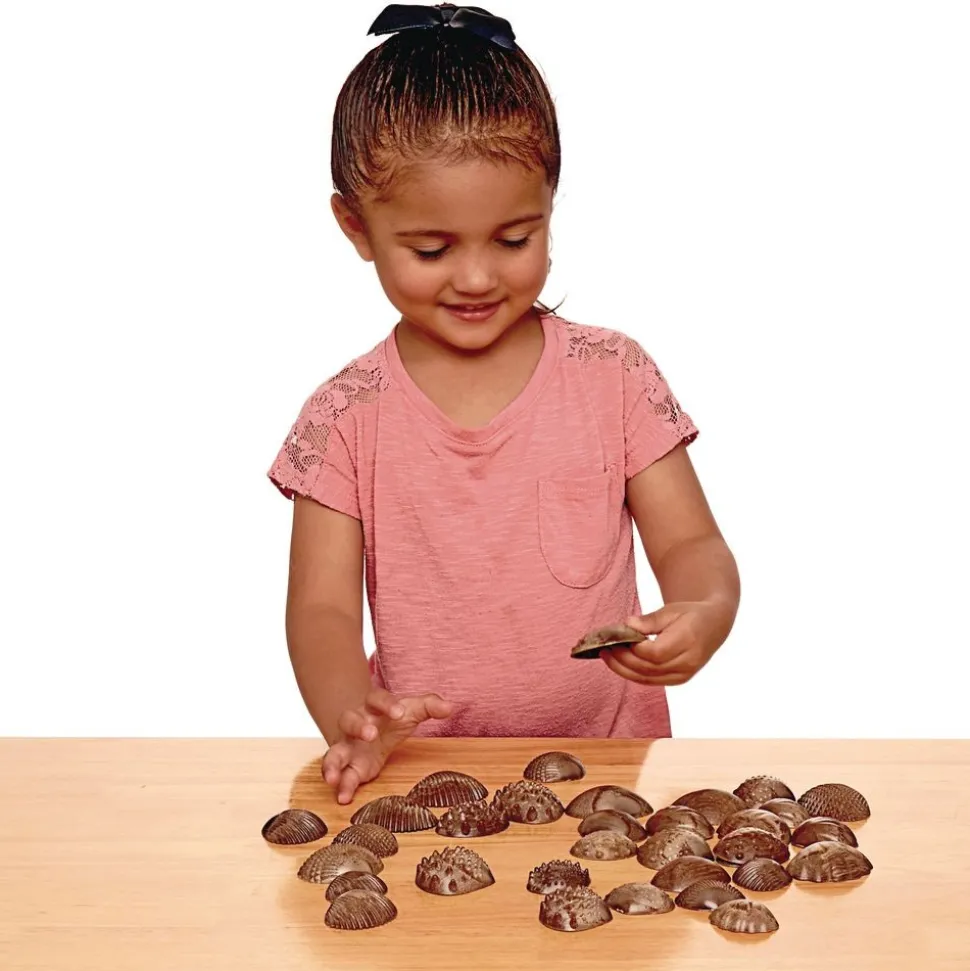 Tactile Shells for Sensory Exploration - 36 pcs