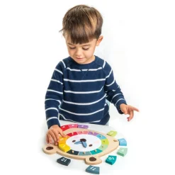 Tender Leaf® Bright Minds Math Collection