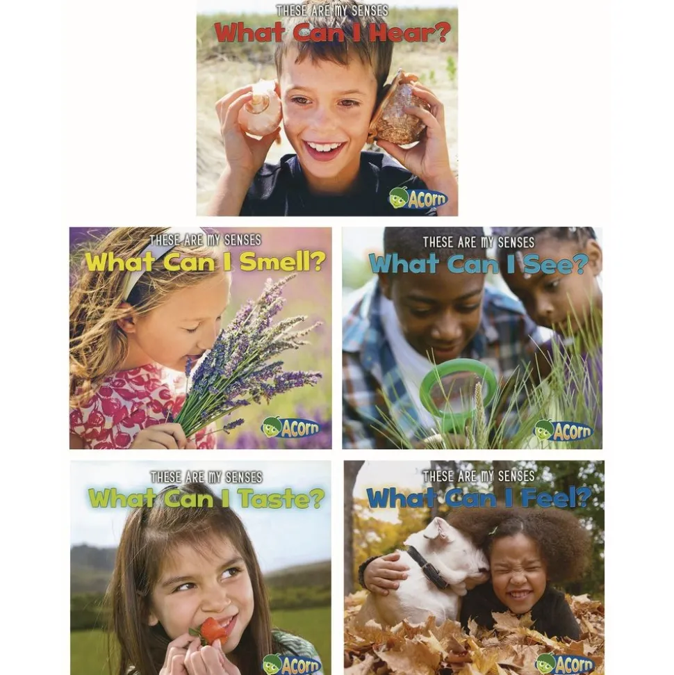 The Five Senses Paperback Books - 5 Titles