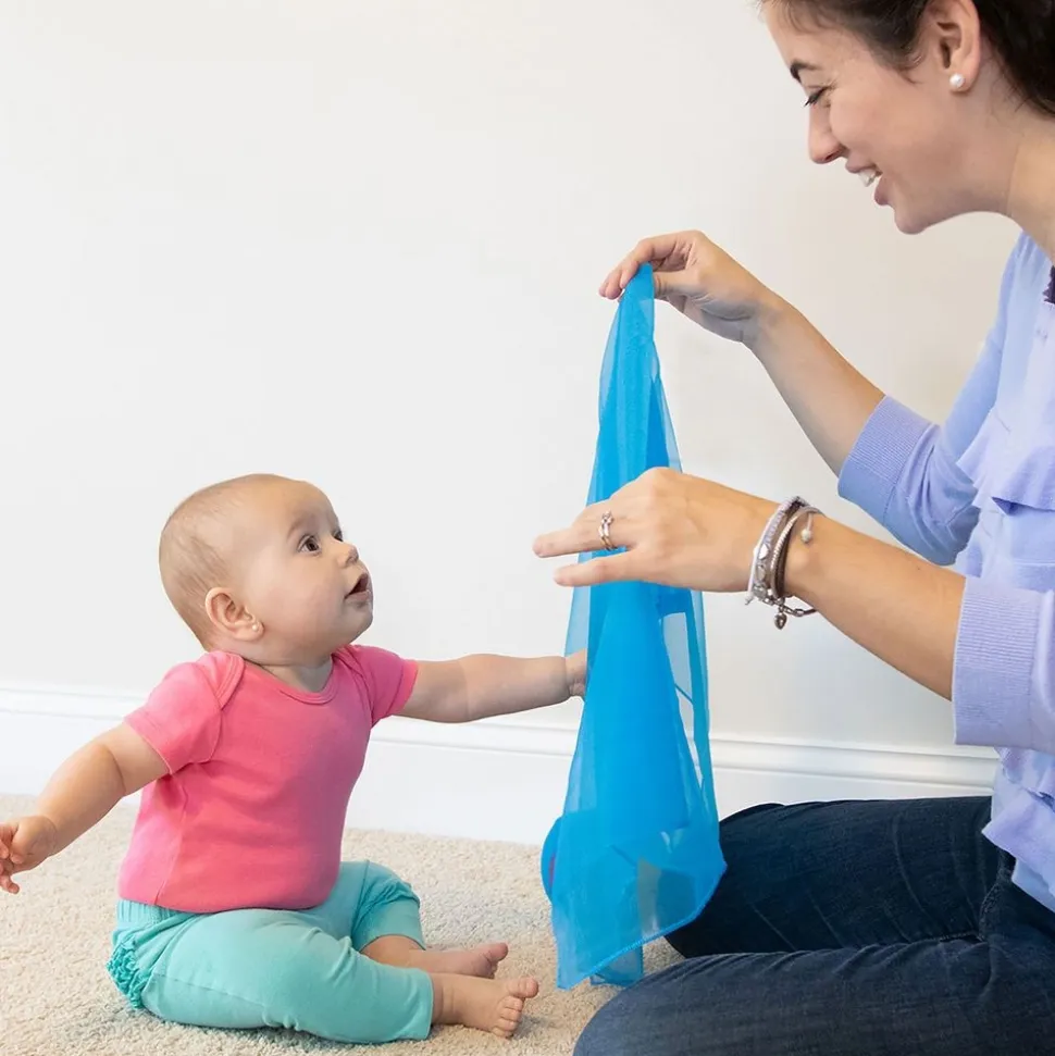 The Kindermusik® Case for Music for You & Your Baby Activity Kit