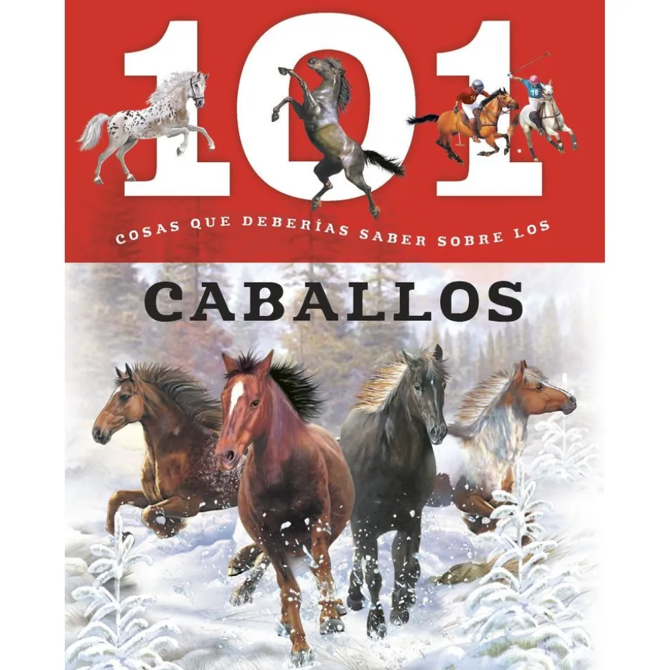 101 Things Things That You Should Know About (101 Cosas que Deberias Saber Sobrelos): 10-Book Set