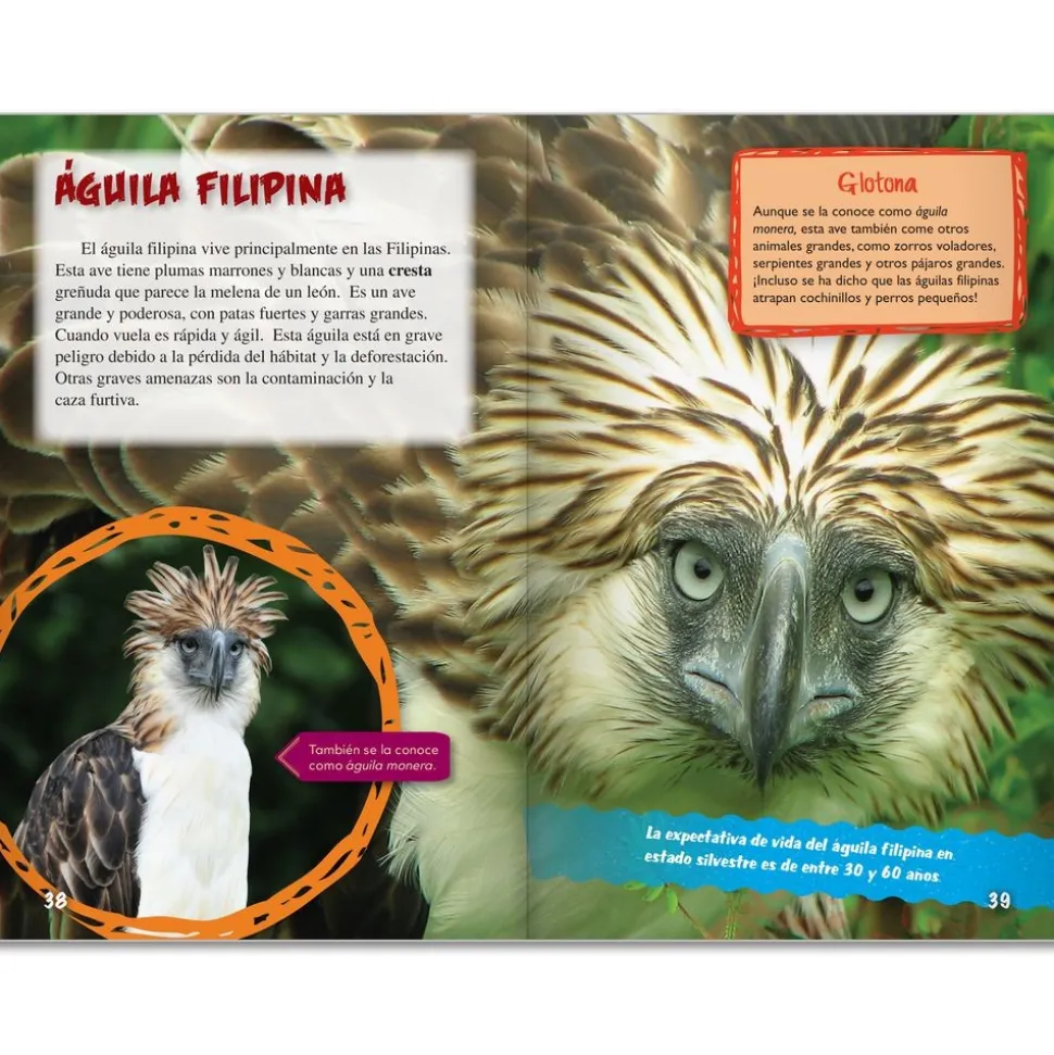 TIME FOR KIDS® Informational Text Grade 5 Spanish 30-Book Set
