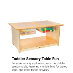 Toddler Sensory Table with Bins