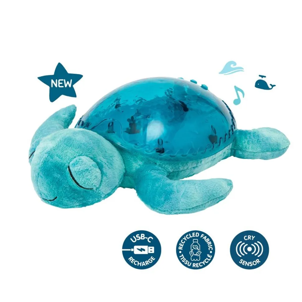 Tranquil Turtle - Aqua