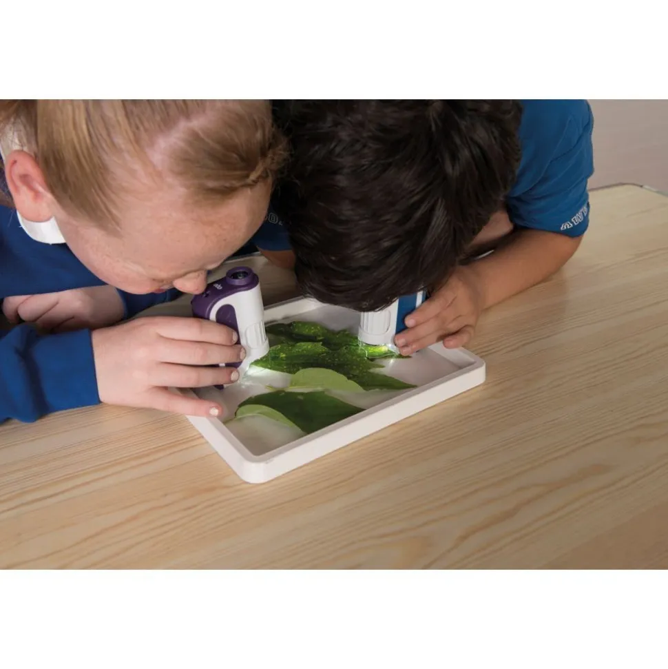 TTS® Hand Held Microscopes - Pack of 6