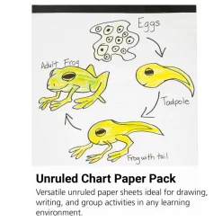 unruled chart paper - 50 Sheets