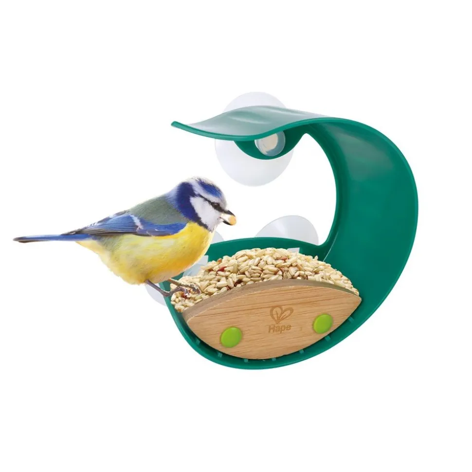 Window Bird Feeder + Journal