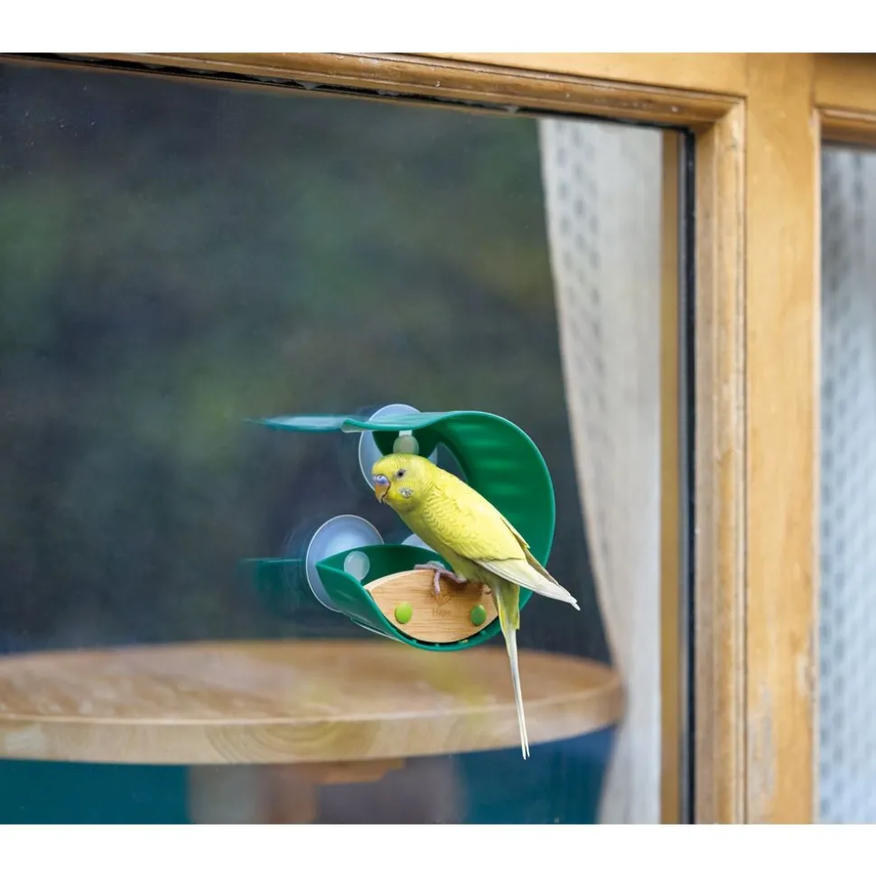 Window Bird Feeder + Journal
