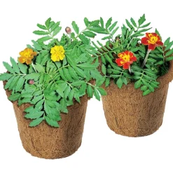 Wonder Soil Classroom Gardening Kit - 30 pots, wonder soil wafers with seeds