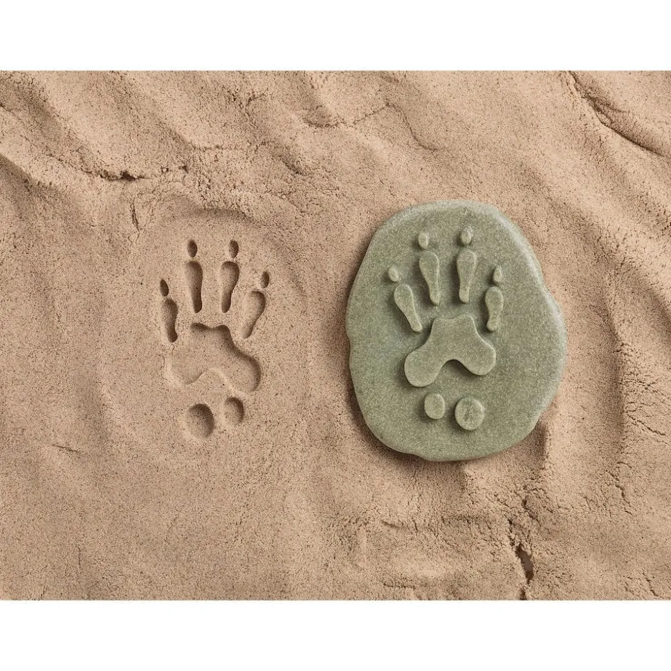 Woodland Animal Footprint Stones - Set of 8
